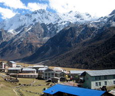 Trekking in Langtang region