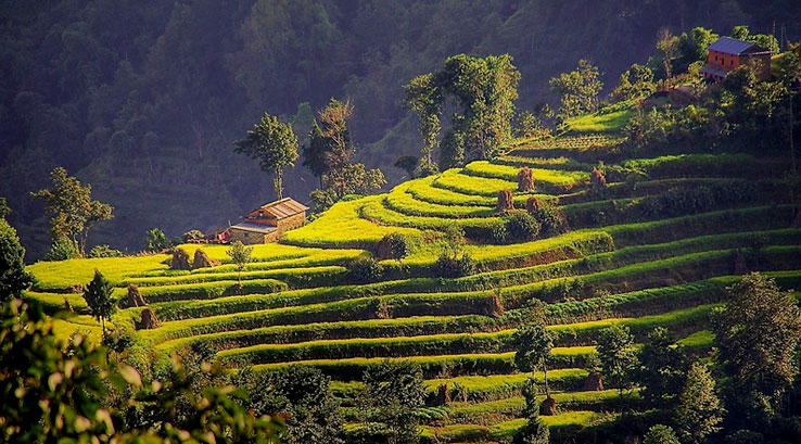 Nagarkot tour